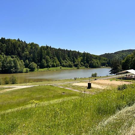 Apartman Na Kraji Lesa Všemina Esterno foto
