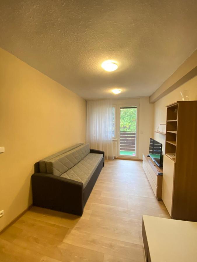 Apartman Na Kraji Lesa Všemina Esterno foto
