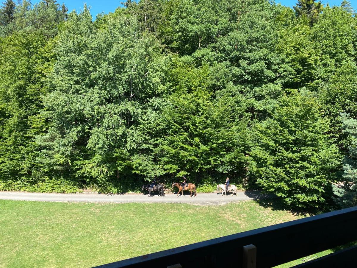 Apartman Na Kraji Lesa Všemina Esterno foto