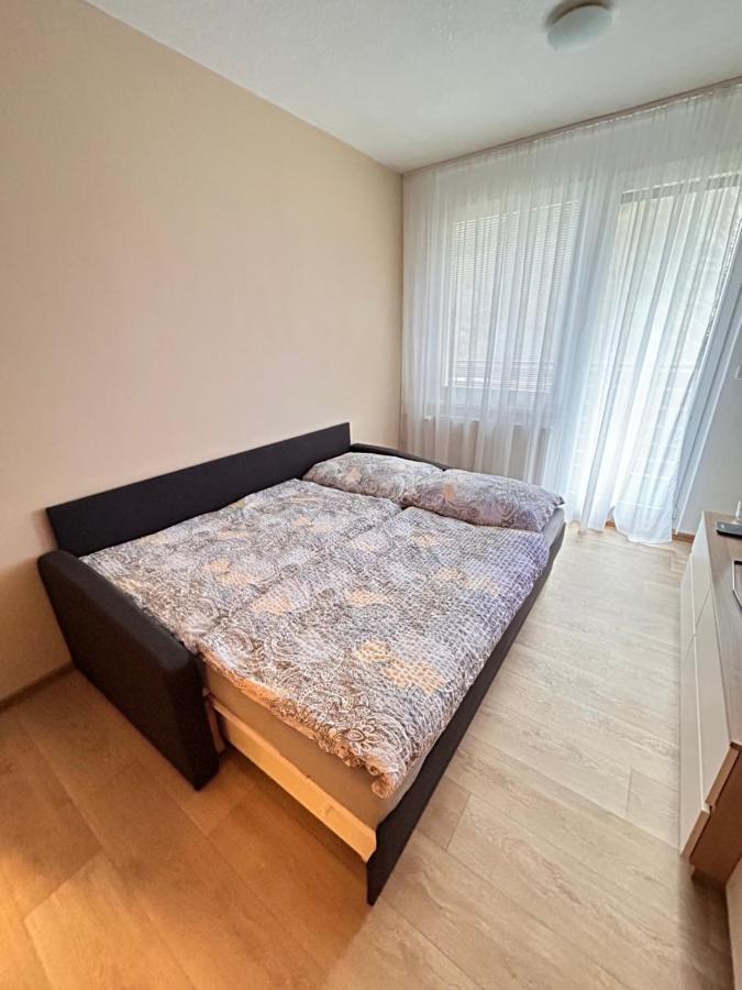 Apartman Na Kraji Lesa Všemina Esterno foto