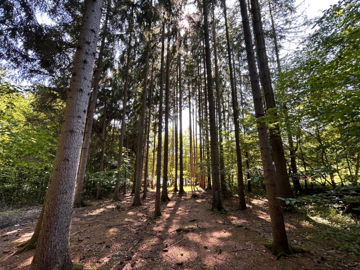 Apartman Na Kraji Lesa Všemina Esterno foto